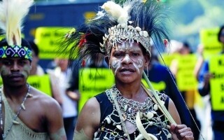 Активисты протестуют против вырубки лесов для производства пальмового масла в Папуа