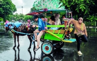 Concerns Over Horse Treatment in Jakarta