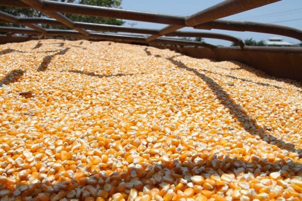 Президент Индонезии объявляет новые политики экономического развития