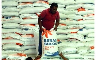 Rice Production in Indonesia Expected to Surge